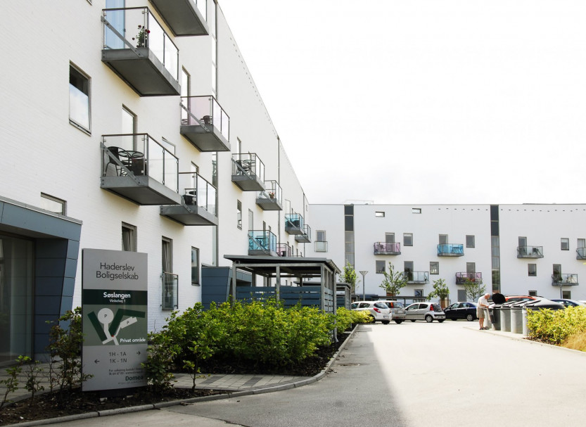 Søslangen i Haderslev